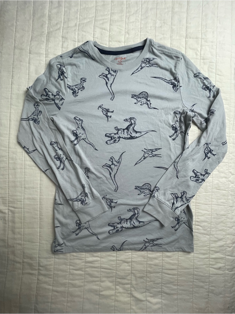 Cat & Jack Light Blue Tee with Navy Dino Accents XL